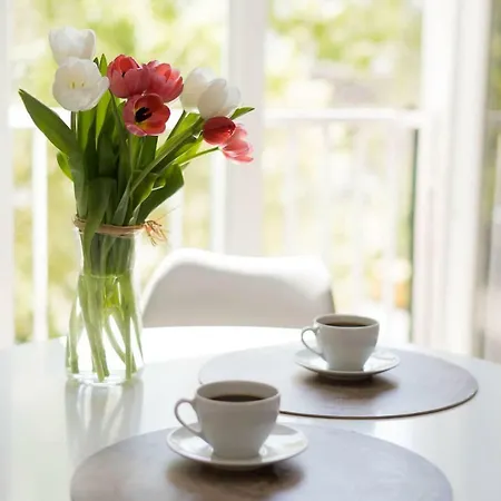 New - 300 M Town Hall - 3 - 7 People *