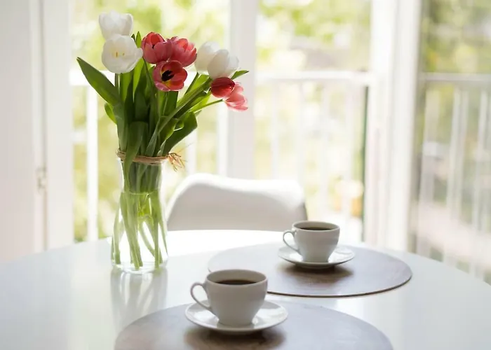 New - 300 M Town Hall - 3 - 7 People *