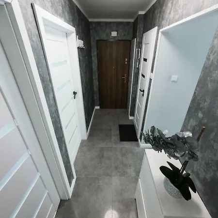 New - 300 M Town Hall - 3 - 7 People Wrocław